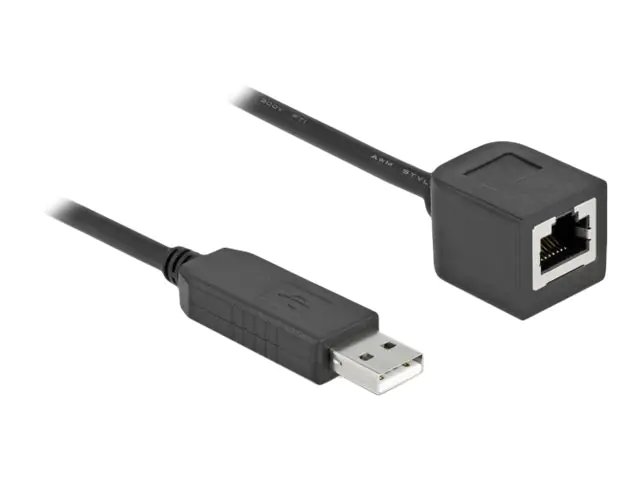 Delock - Serieller Adapter - USB (M) zu RJ-45 (W) - 1 m - USB / USB 2.0 / EIA-232 - Schwarz