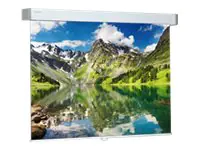 Projecta Hapro CSR Video Format - Leinwand - Deckenmontage möglich, geeignet für Wandmontage -