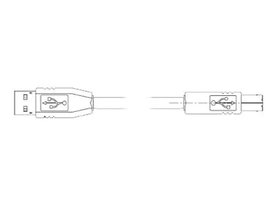 Zebra USB-Kabel - USB (M) zu USB Typ B (M)