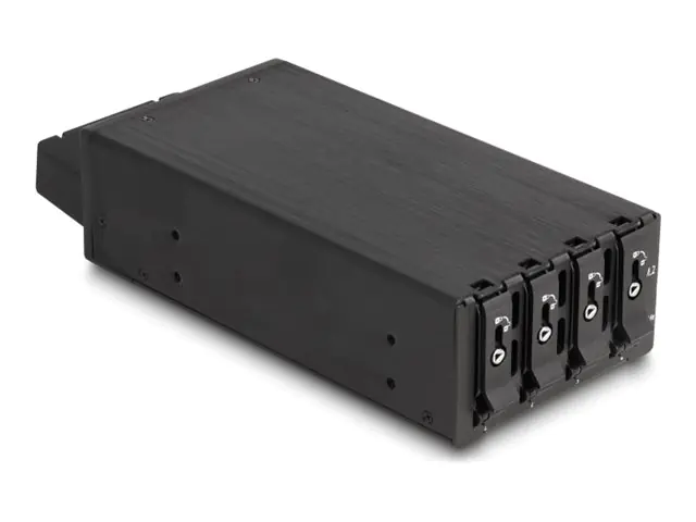 Delock Mobiles Speicher-Rack - Schwarz