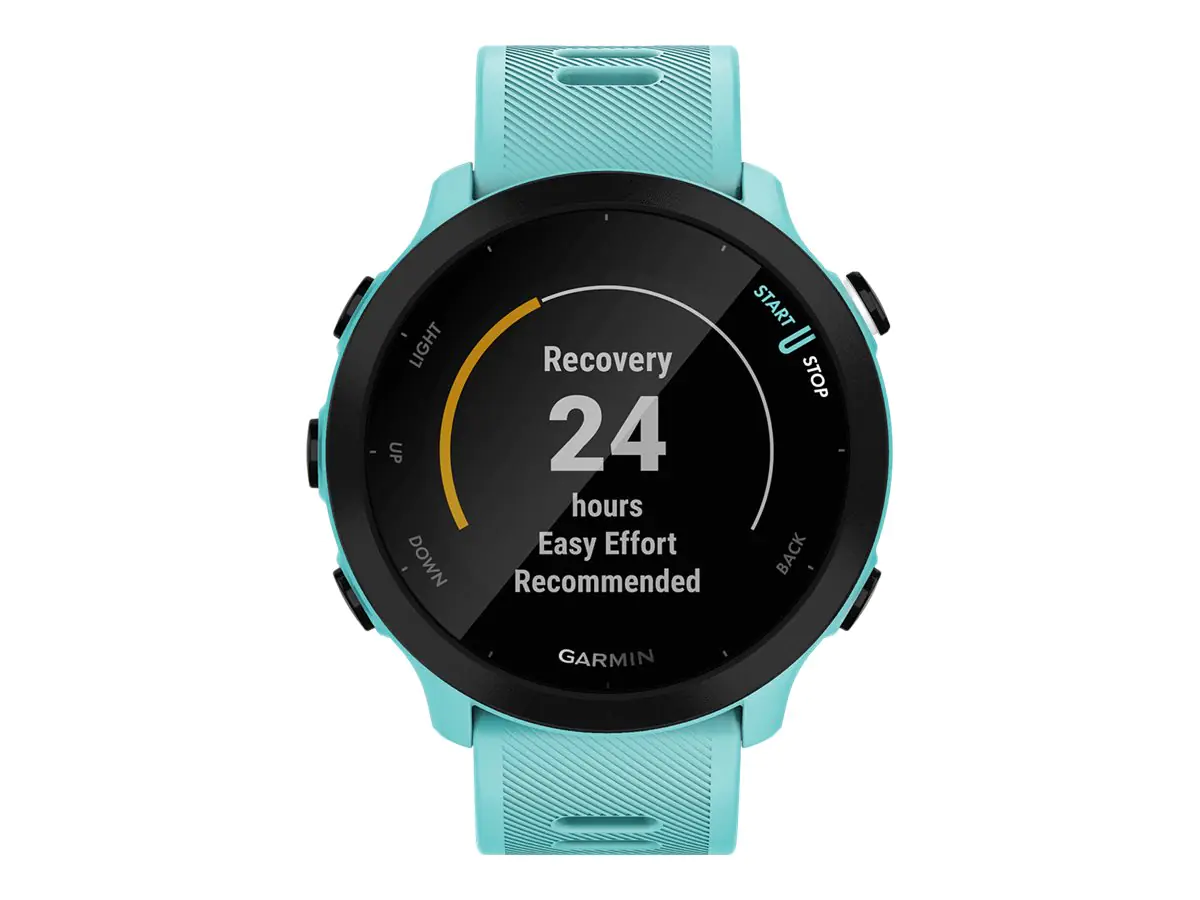 Garmin Forerunner 55 - Aqua Green - Sportuhr mit Band - Silikon - Aqua Green - Anzeige 2.63 cm (1.04") 010-02562-12