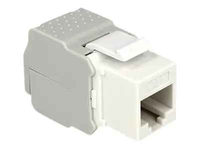 Delock Modulare Eingabe - CAT 6 - UTP - RJ-45