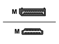 Helos Premium - Adapterkabel - DisplayPort Stecker 288455
