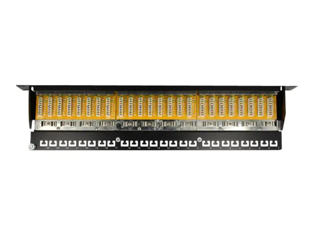 Delock Patch Panel - RJ-45 X 24 - Hellgrau - 1U - 48.3 cm (19")