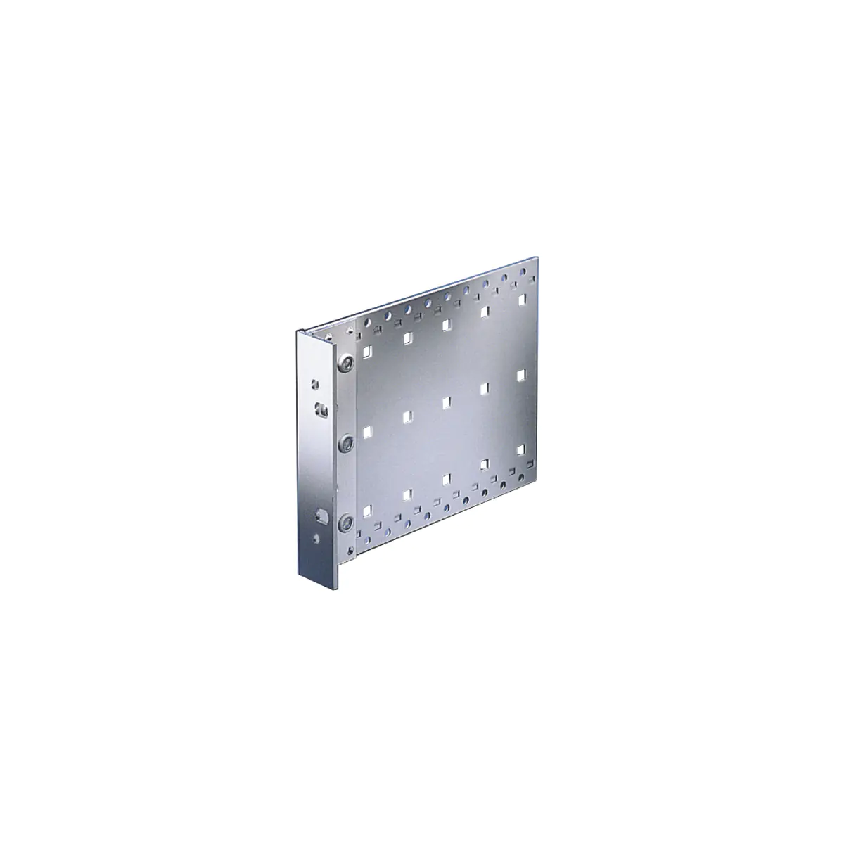 SCHROFF 24567431 19 Zoll Netzwerkschrank-Seitenwand