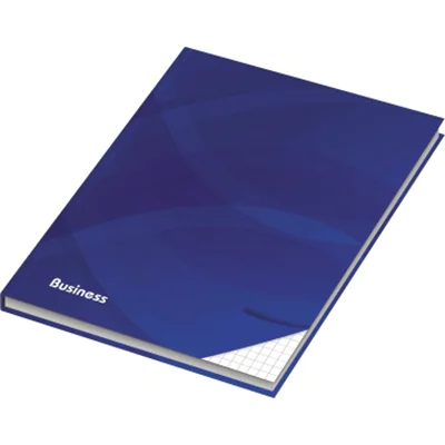 RNK Kladde Business blau 46499 DIN A4 96Blatt kariert RNK Kladde Business blau 46499 DIN A4 96Blatt kariert