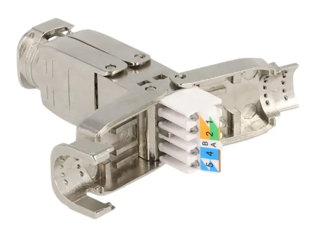 Delock - Kabelverbindung - CAT 6a - STP