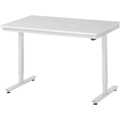 RAU Arbeitstisch Adlatus 150 1.250 x 720-1.120 x 800 mm (B x H x T) lichtgrau RAU Arbeitstisch Adlatus 150 1.250 x 720-1.120 x 800 mm (B x H x T) lichtgrau