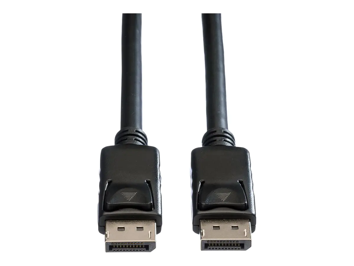 ROLINE DisplayPort-Kabel - DisplayPort (M) 11.04.5603