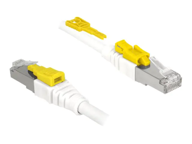 DeLOCK Secure - Patch-Kabel - RJ-45 (M) bis RJ-45 (M) - 3 m - STP - CAT 6a - halogenfrei - weiß