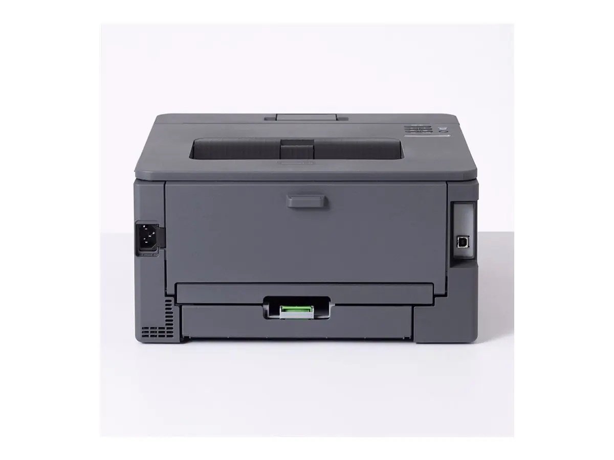 Brother HL-L2400DW - Drucker - s/w - Duplex HLL2400DWRE1