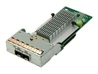 Infortrend - Hostbus-Adapter - 10 Gigabit SFP+ x 2