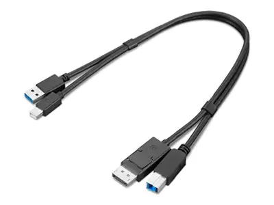 Lenovo Dual Head - Display / USB Kabelset - USB Typ A, DisplayPort (M) 4X91D11453