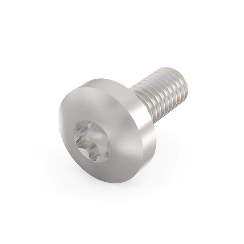 SCHROFF Torx-LINSKOSCHR M4X10 100ST 24560155