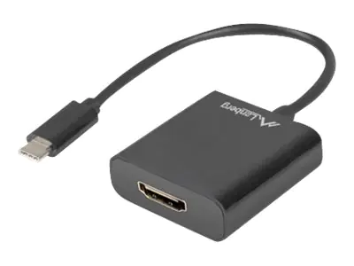 Lanberg Video- / Audio-Adapter - USB-C männlich