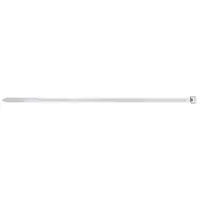 fischer 87478 - Leiter-Kabelbinder - Nylon - Transparent - 10 cm - 2,5 mm - 100 Stück(e)