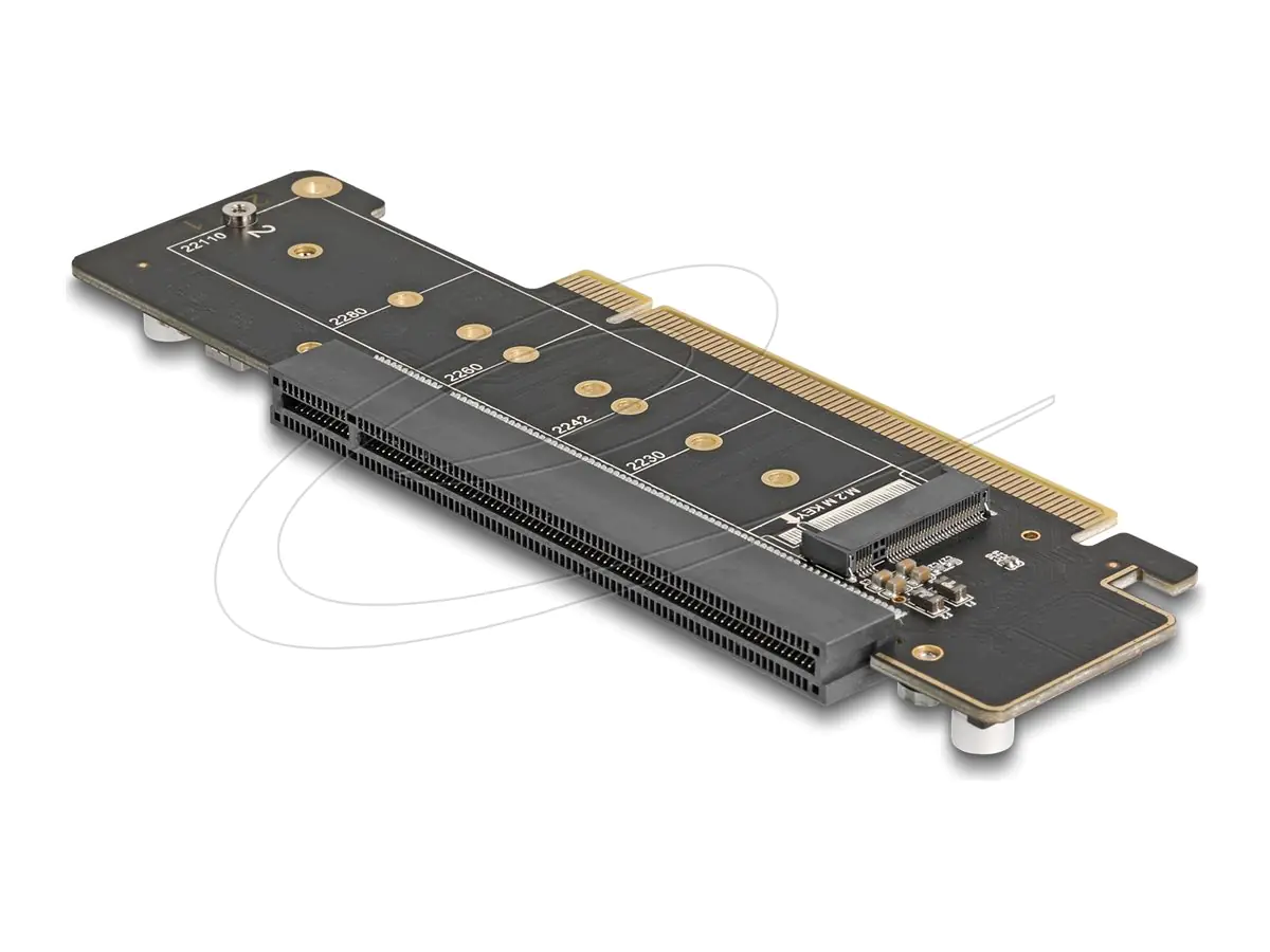 Delock Riser Card 41802