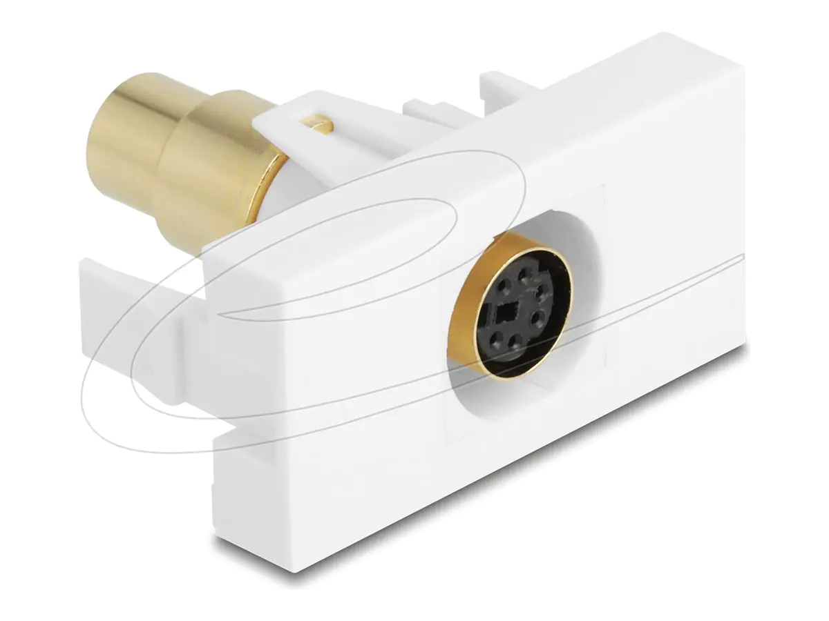 Delock Easy 45 - Einrastmodul - vergoldet - 6 -poliger Mini-DIN ( weiblich )