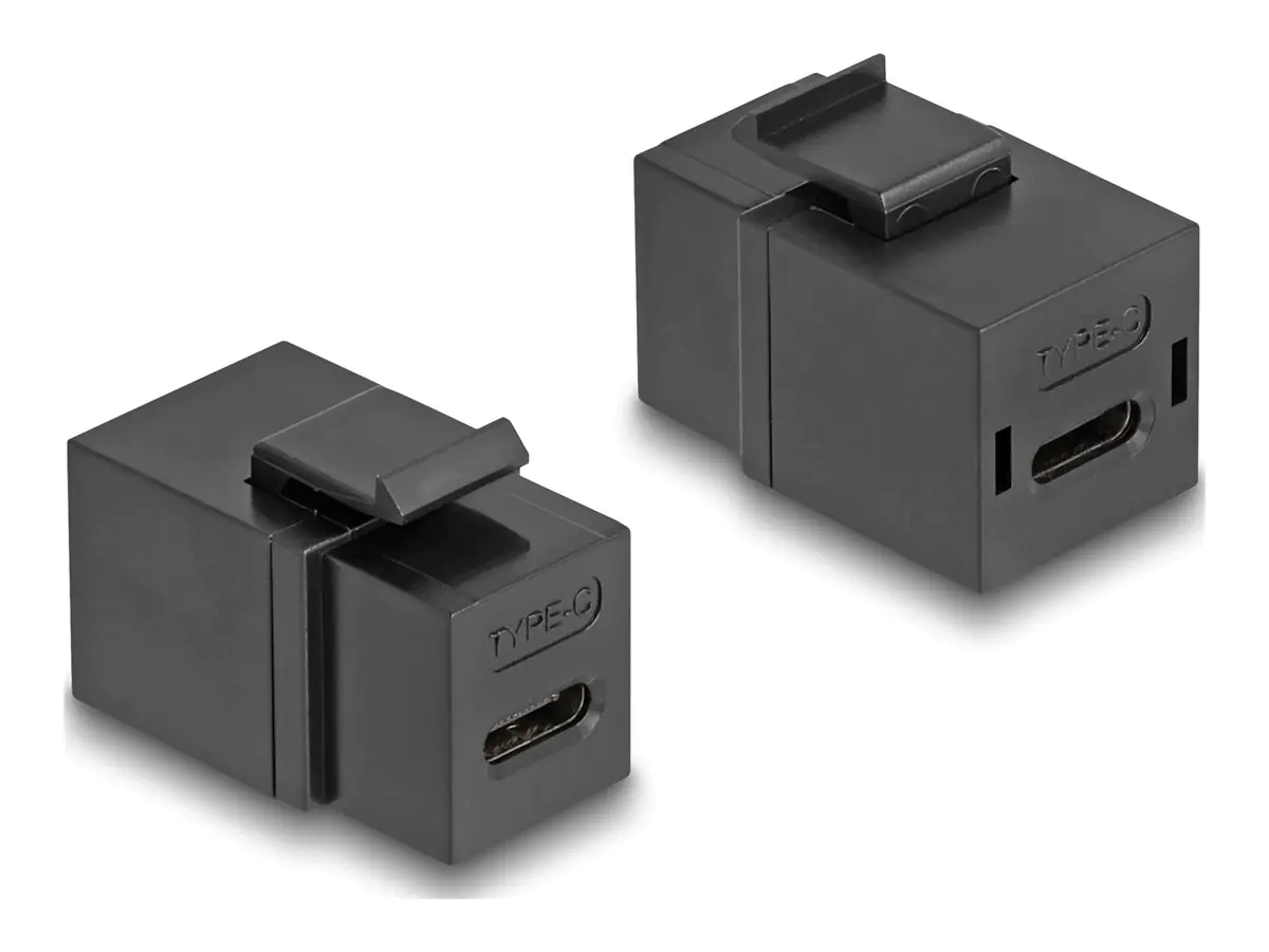 Delock Modularer Einschub (Kopplung) - weiblich