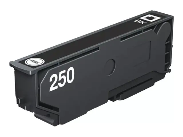 Epson 250 - 5.3 ml - Schwarz - original - Blister mit RF C13T16N14020