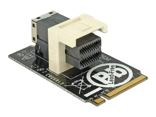 Delock Adapter M.2 Key M > SFF-8643 NVMe horizontal 2242 - Schnittstellenadapter - 2.5" (6.4 cm) - U.2 NVMe - M.2 Card
