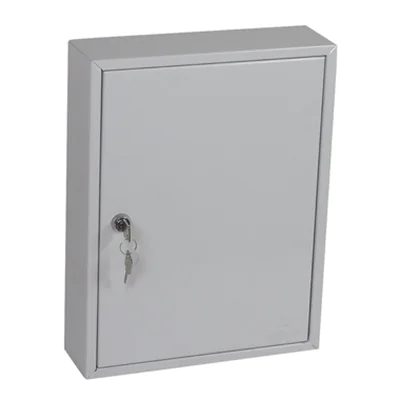 Phoenix Schlüsselschrank 27 x 35 x 8 cm (B x H x T) Stahl, pulverbeschichtet hellgrau Phoenix Schlüsselschrank 27 x 35 x 8 cm (B x H x T) Stahl, pulverbeschichtet hellgrau