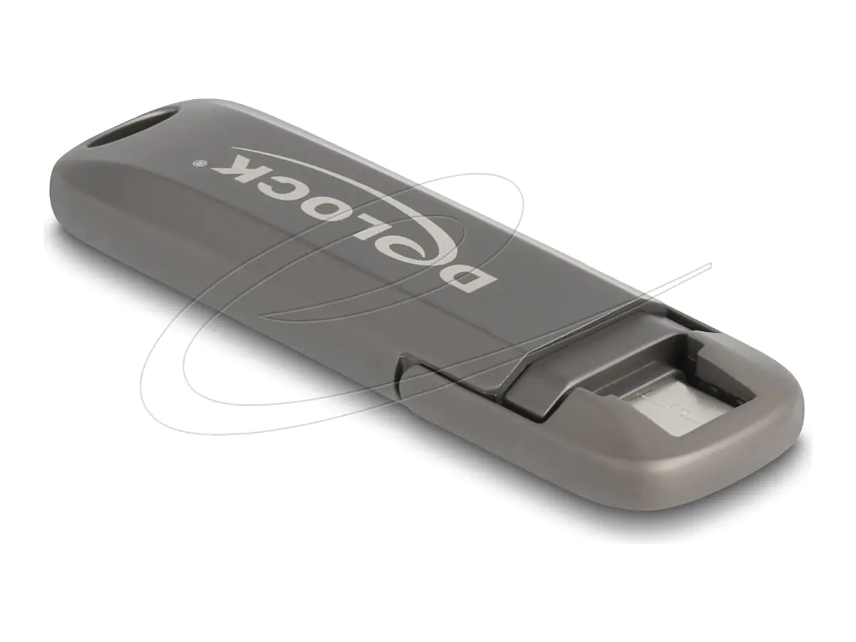Delock USB-Flash-Laufwerk - 256 GB - USB-C