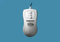 Man-Machine Petite Mouse 5 White