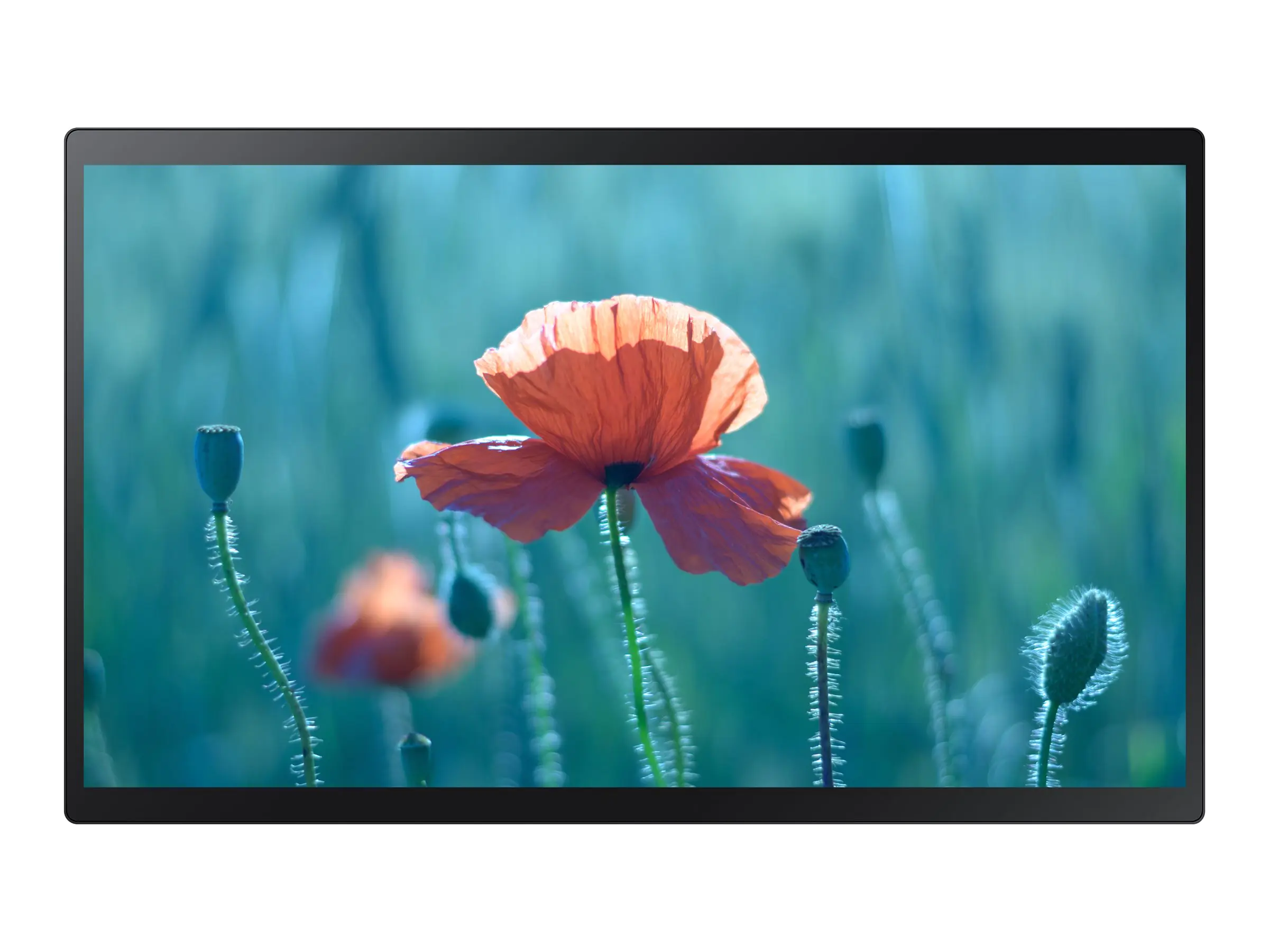 Samsung QB24R-TB - 61 cm (24") Diagonalklasse (60.5 cm (23.8") sichtbar) - QBR-TB Series LED display unit - interaktive Digital Signage - mit Touchscreen (Multi-Touch) - Tizen OS - 1080p 1920 x 1080