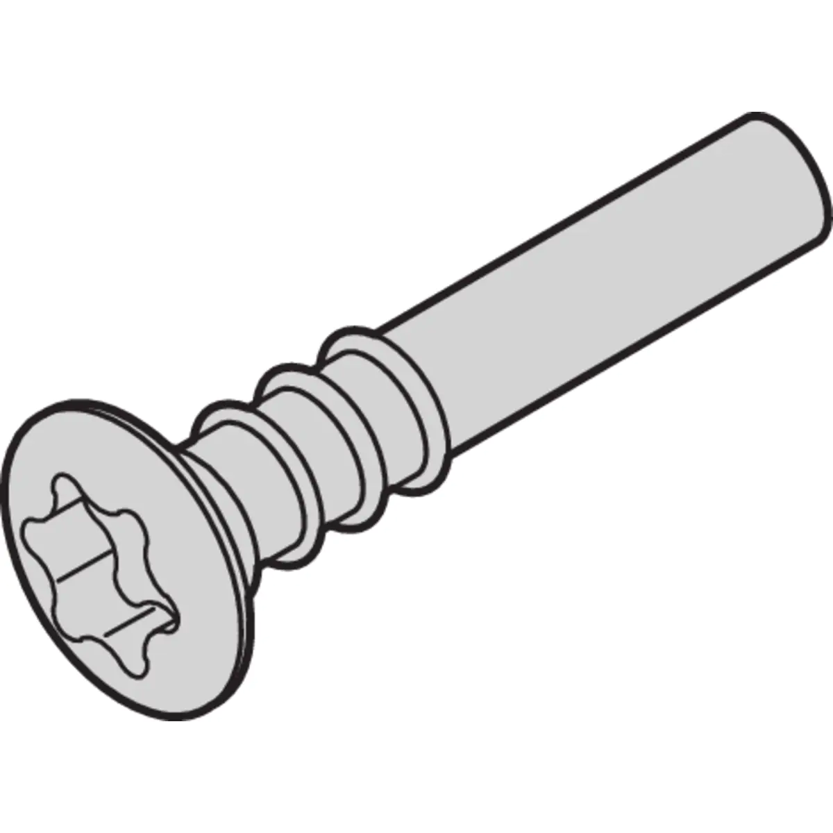 SCHROFF LISESHR TORX3.0X20 100ST 24812501