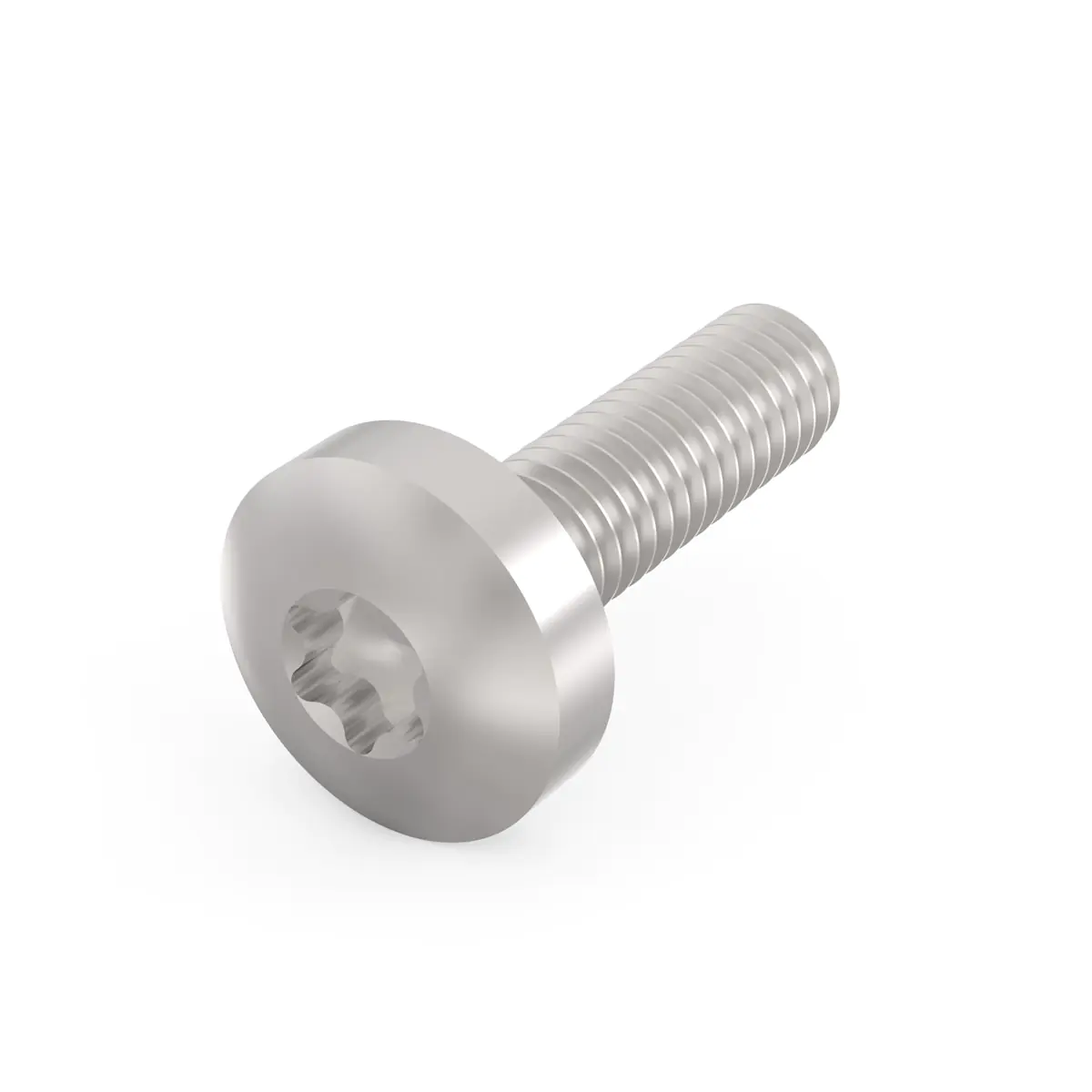 SCHROFF SCREW TORX PAN.M4X14MM(10PC)