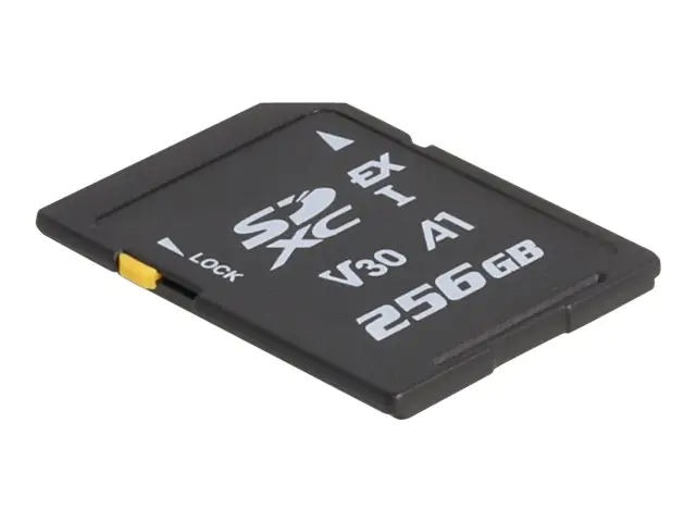Delock Flash-Speicherkarte - 256 GB - Video