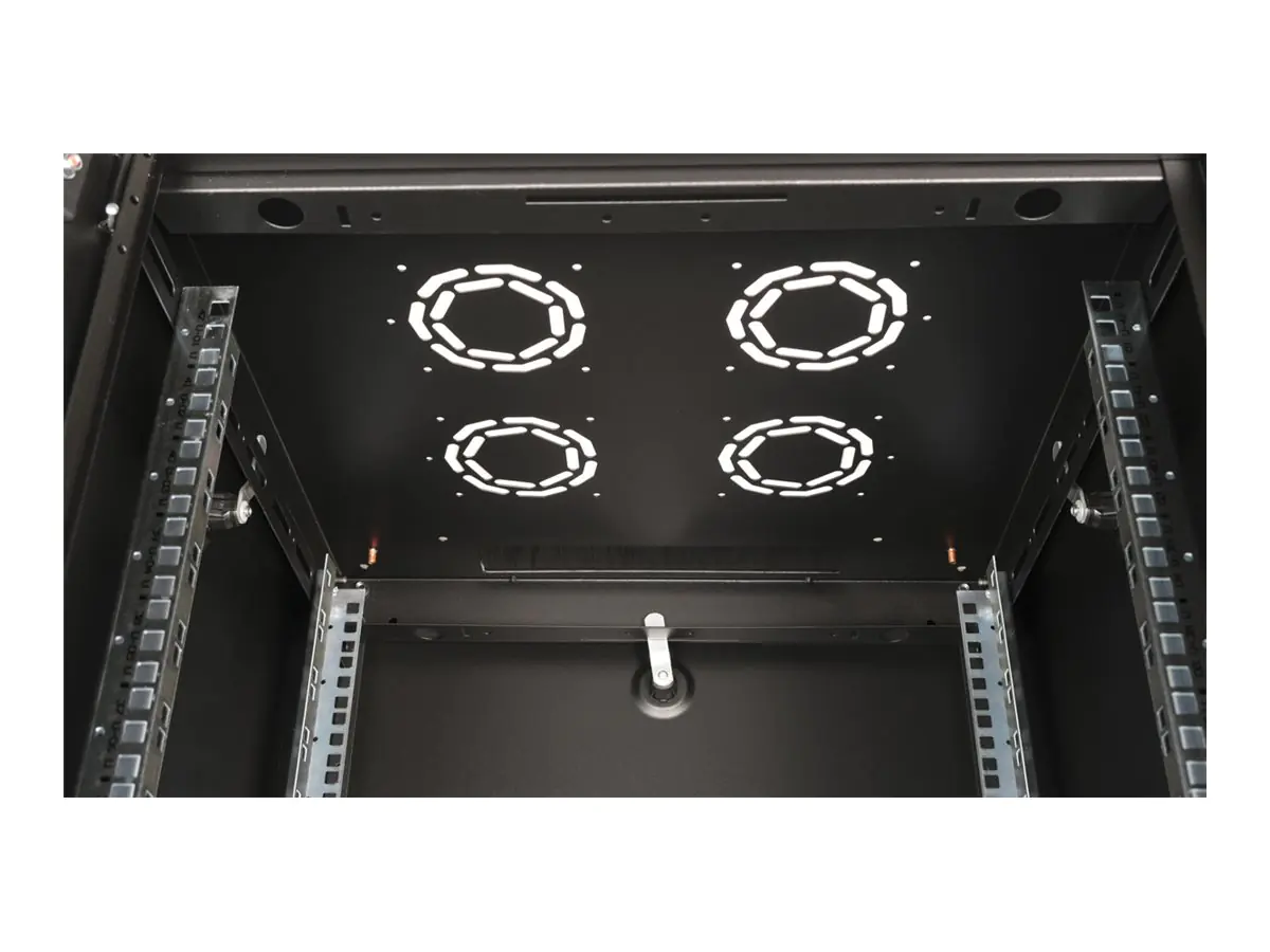 ROTRONIC-SECOMP Roline Basic - Schrank Netzwerkschrank - Glas Tür - Jet Black, RAL 9005 -