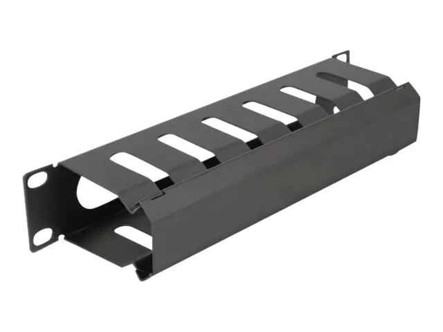 Delock - Verlegetafel für Rack-Kabelmanagement - mit Öffnung - Schwarz - 1U - 25.4 cm (10")