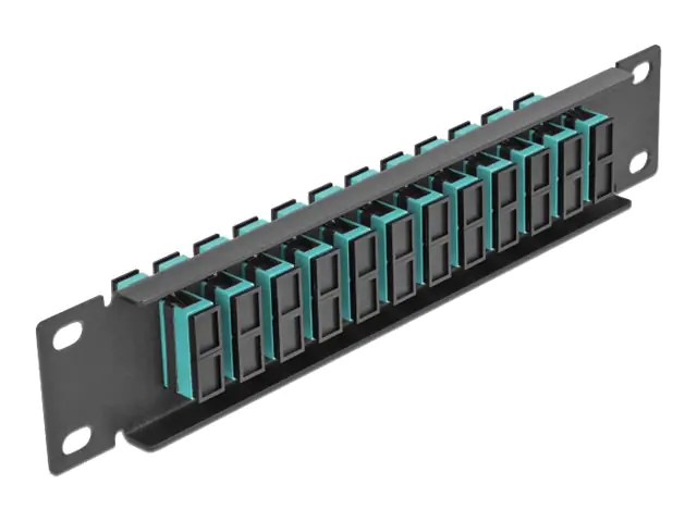 Delock - Patch Panel - SC MM X 12 - Schwarz - 1U - 25.4 cm (10")