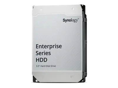 Synology Festplatte - Enterprise - 12 TB - intern - 3.5" (8.9 cm)