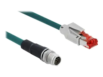 Delock - Netzwerkkabel - 8 pin M12-X (M) zu RJ-45 (M) - 3 m - SF/UTP - CAT 5e - Wasserblau