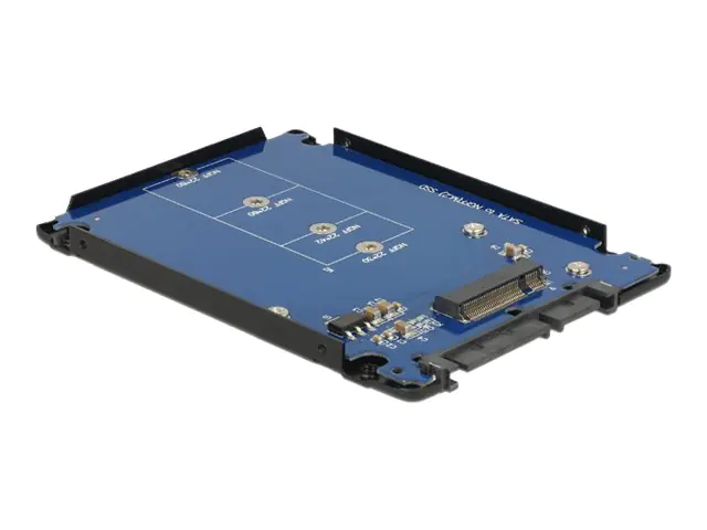 Delock - Laufwerksschachtadapter - 2.5" to M.2 (6.4 cm to M.2)