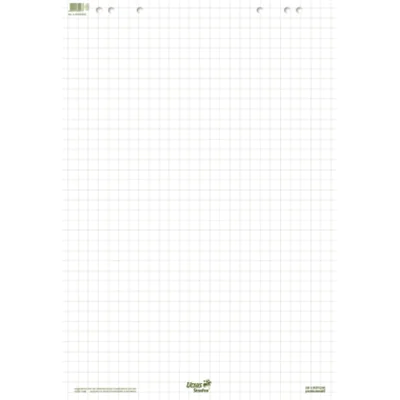Staufen Flipchartblock Green 608580020 68x99cm 20Bl. kariert