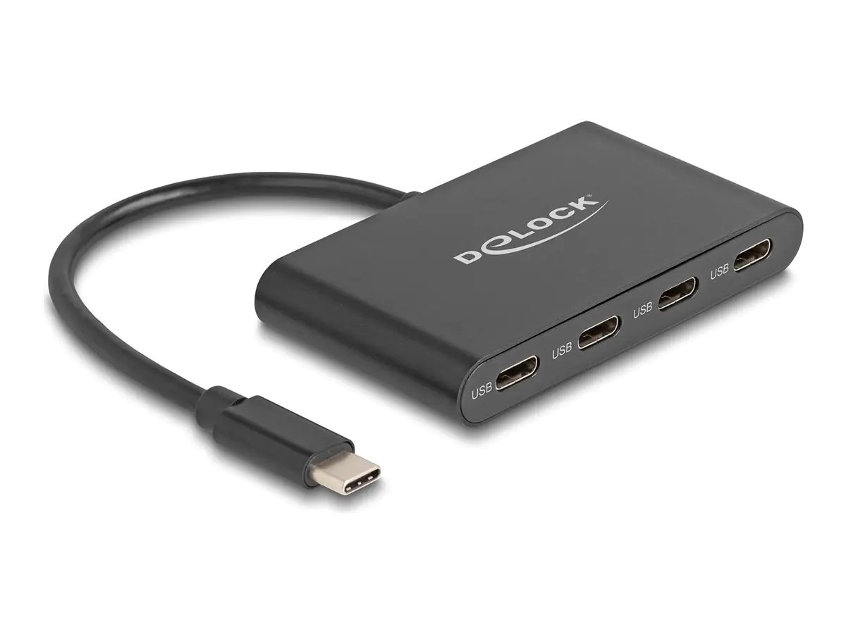 Delock Hub - 10 Gbps - 4 x USB-C 3.2 Gen 2 64129