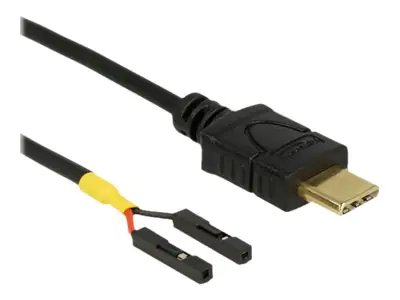 Delock - USB-Kabel - 24 pin USB-C (M) zu 2-poliger USB-Header (W) getrennt - 50 cm - Schwarz