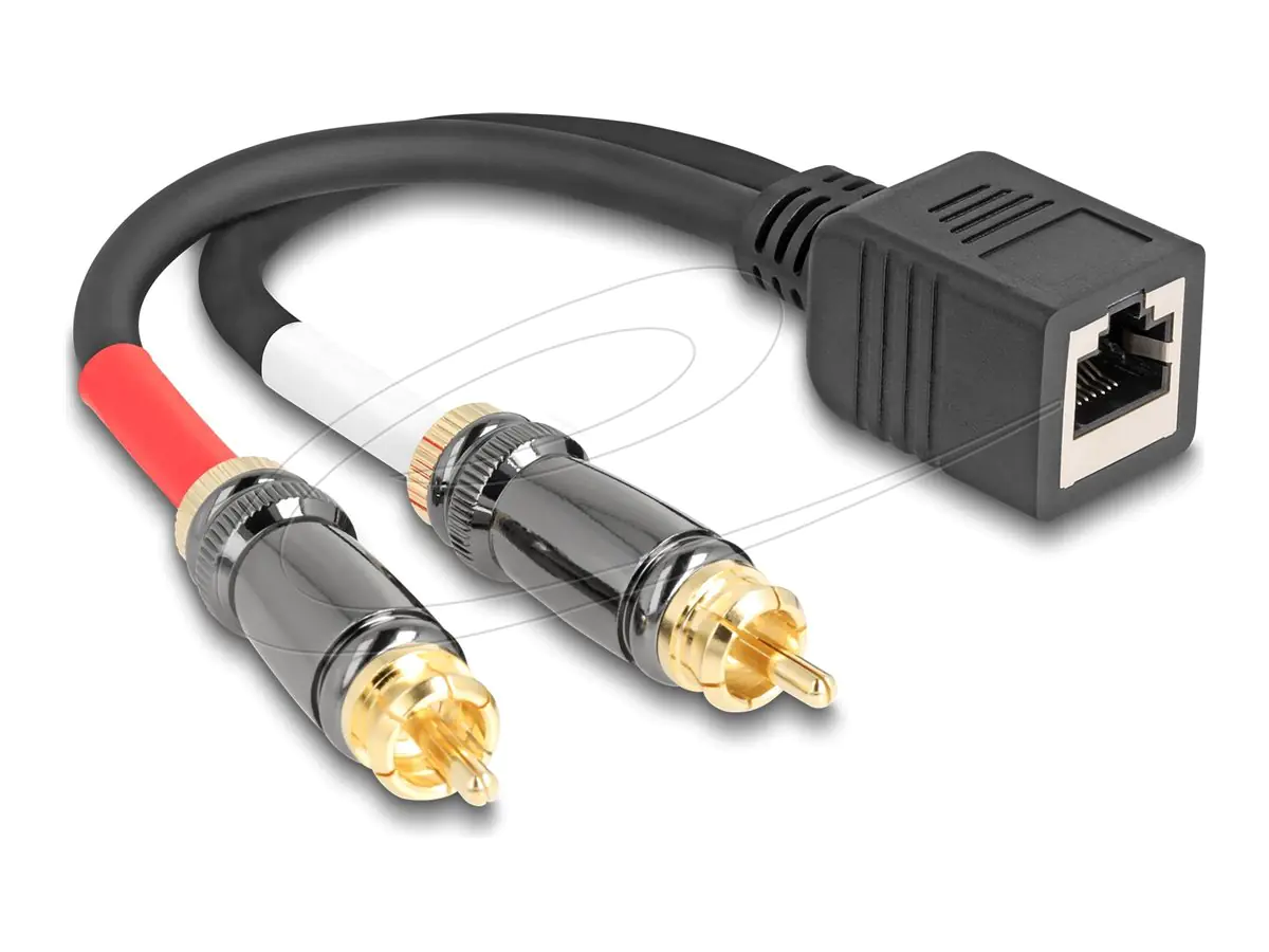 Delock Audio-Adapter - RCA männlich zu RJ-45 weiblich