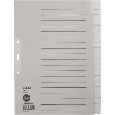 Leitz Register 12200085 blanko DIN A4 20teilig Papier grau Leitz Register 12200085 blanko DIN A4 20teilig Papier grau
