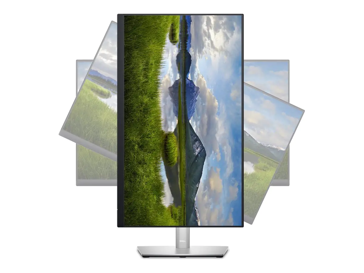 Dell P2423D - LED-Monitor - 61 cm (24") - 2560 DELL-P2423D