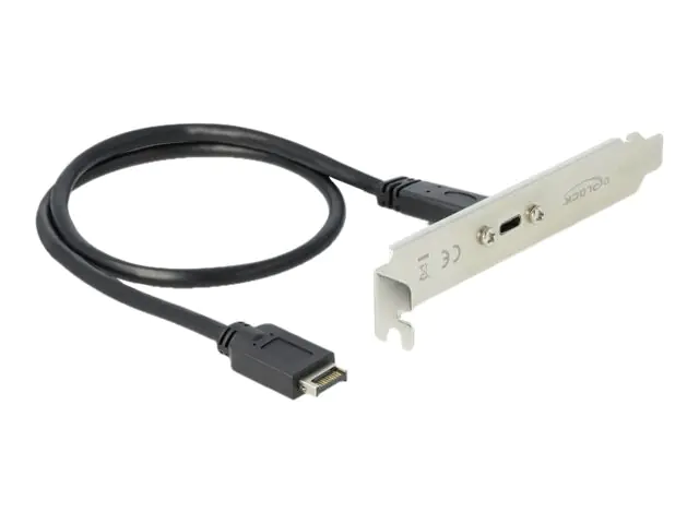 Delock Slot bracket - USB-Konsole - 20-poliger USB 3.1 Header (M) bis USB-C (W) - 89936