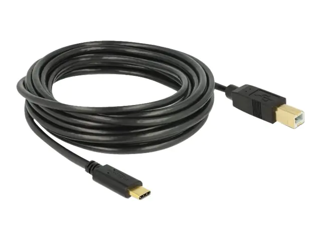 Delock - USB-Kabel - 24 pin USB-C (M) zu USB Typ B (M) - USB 2.0 - 3 A - 4 m - Schwarz