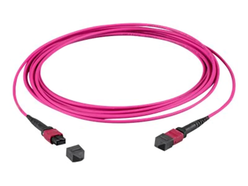 EFB-Elektronik - Patch-Kabel - MTP Multimode (W) zu MTP Multimode (W) - 2 m - Glasfaser - OM4 - halogenfrei - violett Erika