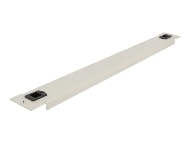 Delock - Rack-Blindabdeckungsplatte - Grau - 1U - 48.3 cm (19")