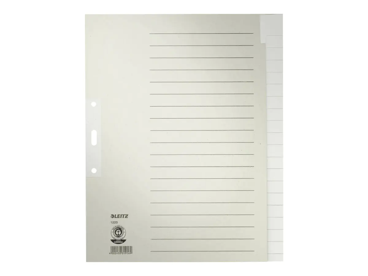 Esselte Leitz Trennelement - 20 Teile - für A4 Maxi 1220-00-85