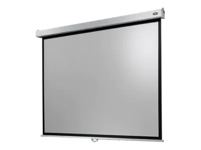 celexon Manual Professional Plus Data format - Leinwand - Deckenmontage möglich, geeignet für